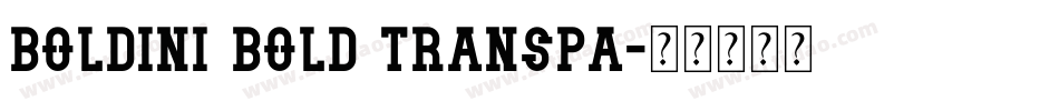 Boldini Bold Transpa字体转换